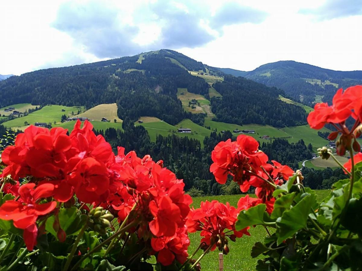 Aussermooserhof Alpbach Luaran gambar